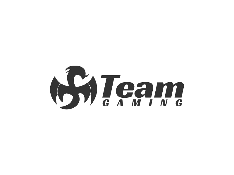 Teamlogo设计